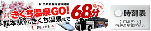 新幹線接続、特急バスの時刻表