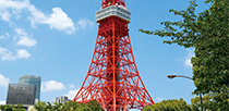 東京タワーと国会議事堂（ロイヤルパークホテル　ザ　汐留の絶景レストランブッフェ）