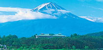 富士ビューホテルのランチバイキングと初夏の宝石さくらんぼ狩り