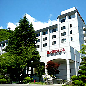 YUZAWA SPA YUZAWA TOEI HOTEL 