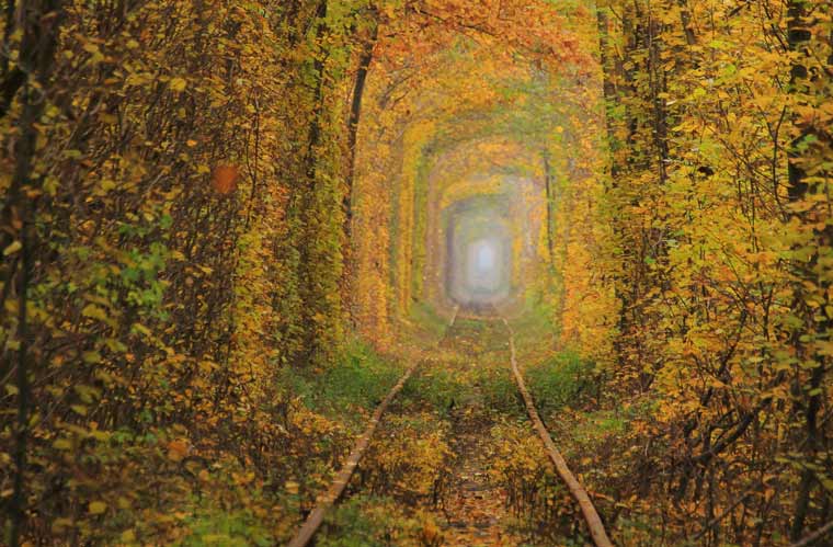 恋のトンネル