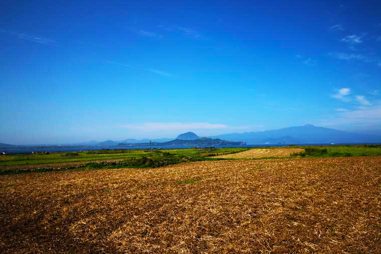 麦畑に囲まれたのどかな散策路から望む山房山と漢撃山