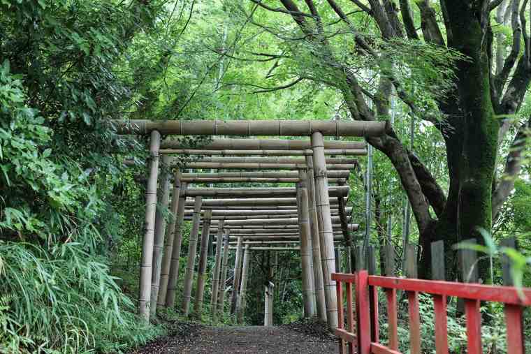 大日本大道教の竹の鳥居