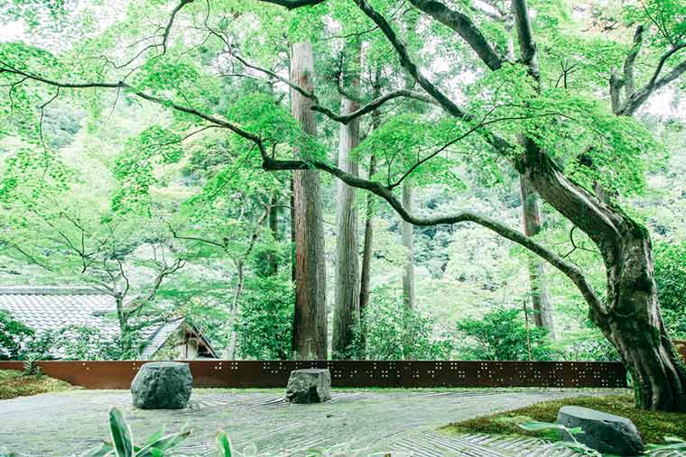 星のや京都 奥の庭
