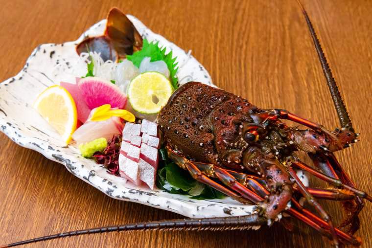 熊野古道　熊野倶楽部　　晩御飯　伊勢海老、カンパチ、モンゴウイカ、トンボマグロの鮮魚
