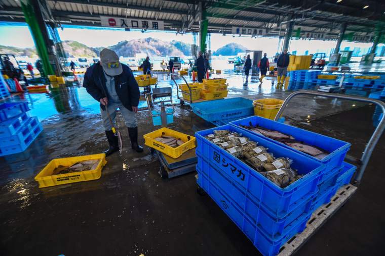 「宮古市魚市場」魚の種類も豊富