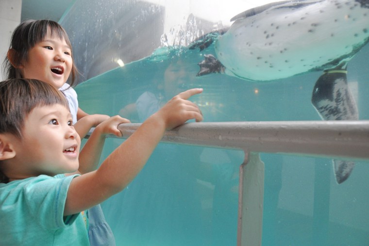 子どもたちが楽しめる長崎ペンギン水族館