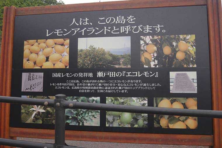 レモンに関連した記念碑や看板