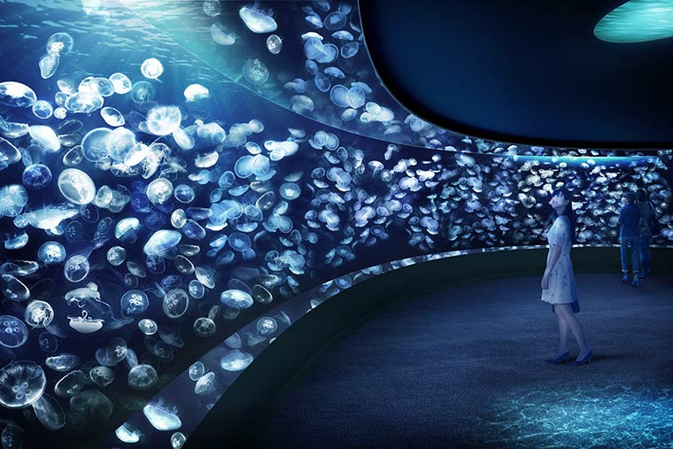 サンシャイン水族館 大海の旅 クラゲ展示「ふわりうむ」