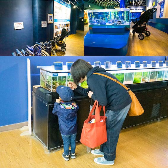 竹島水族館　子どもにも優しい館内設計