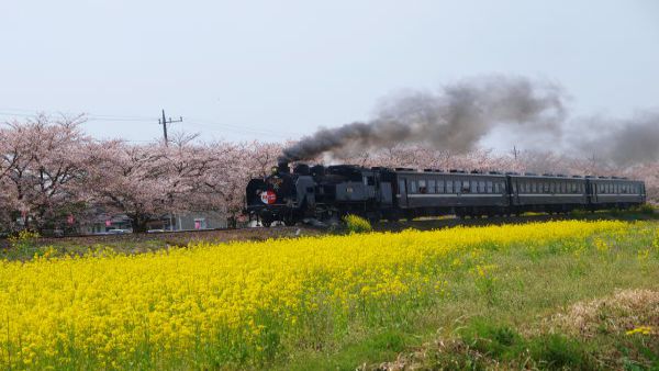 SLもおか(真岡鐵道・真岡線)