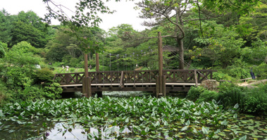六甲高山植物園
