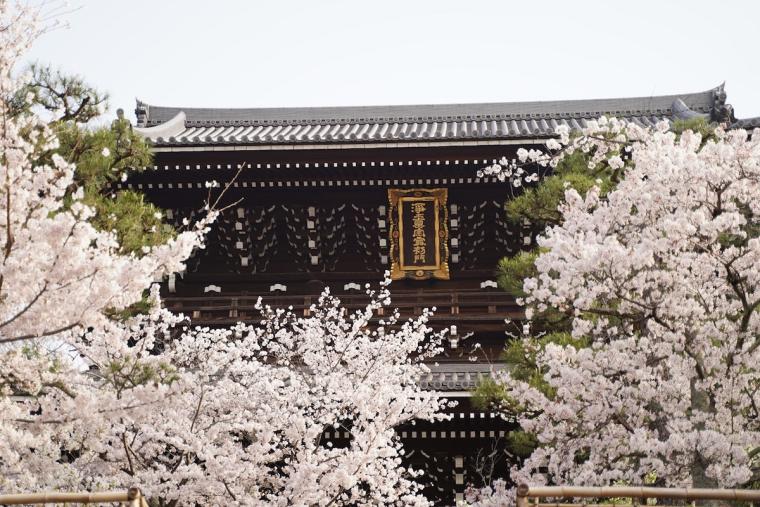 桜とともに幕末の歴史を辿る「金戒光明寺」通常非公開プライベートツアー　​​HOTEL THE MITSUI KYOTO