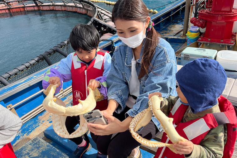 小人数で実施されるマンタやサメの飼育観察体験ツアー
