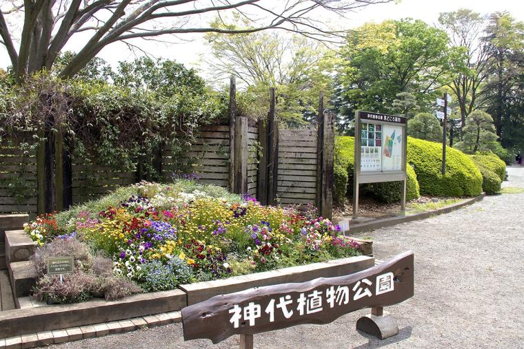 神代植物公園入口