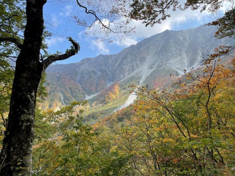 鳥取・大山の麓にある絶景ジャグジー付き貸切サウナ！緑に囲まれて過ごす贅沢時間が過ごせる「ペンションあすか」