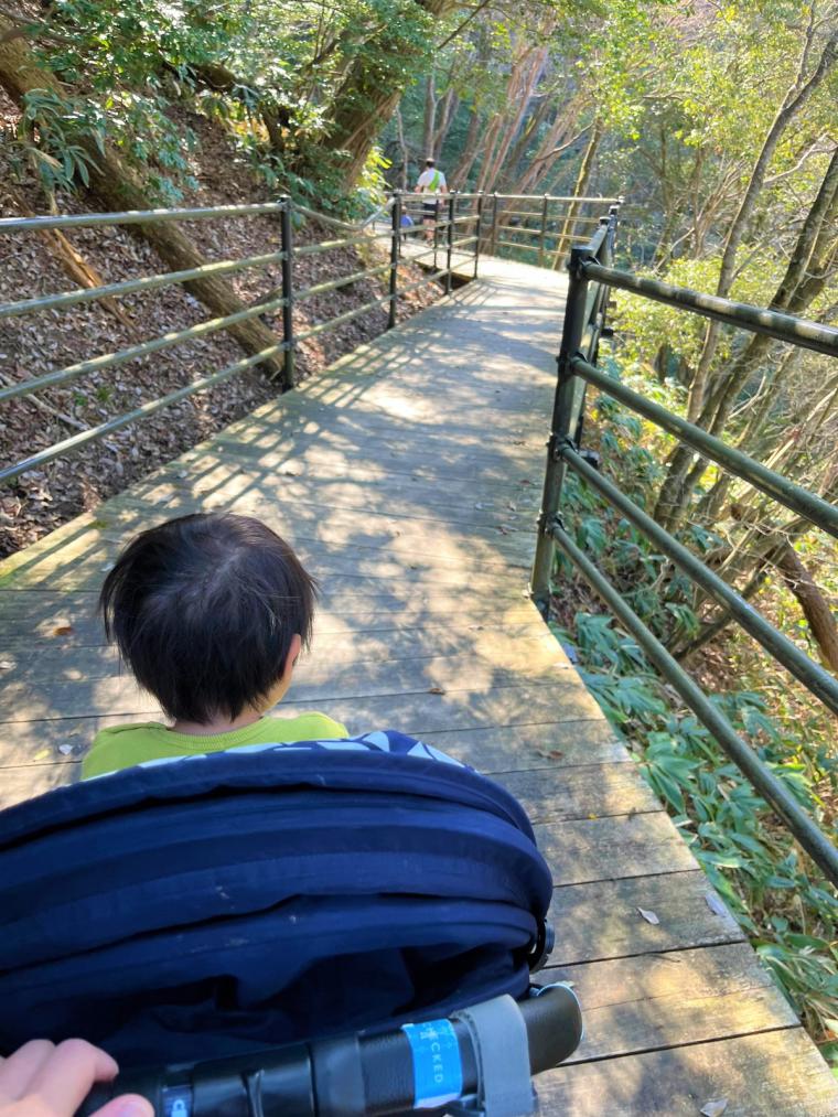 巨石を眺める遊歩道や高さ45メートルのつり橋も！ベビーカーで子供も一緒に楽しめる景勝地「鬼の舌震」   