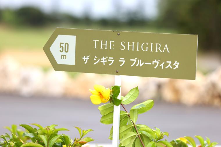 THE SHIGIRA
