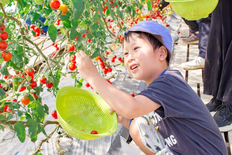 工場見学に収穫体験も！長野のテーマパーク「カゴメ野菜生活ファーム富士見」で野菜体験