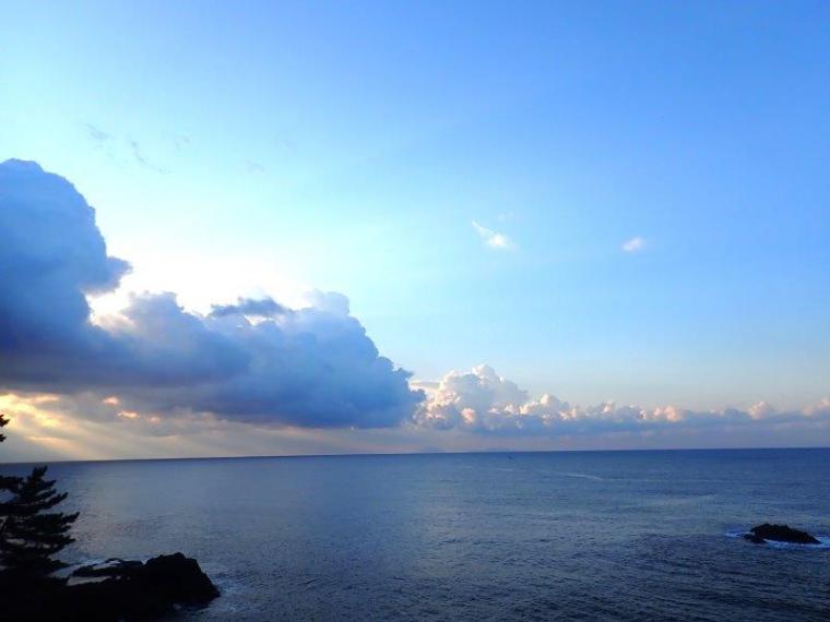 【伊東・城ヶ崎海岸】早朝がおすすめ！つり橋や自然観察路を歩く約40分コース
