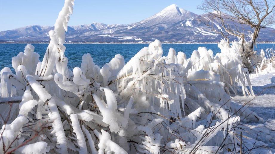 【福島】白鳥と氷の芸術「しぶき氷」に魅せられる！冬の猪苗代湖おすすめガイド