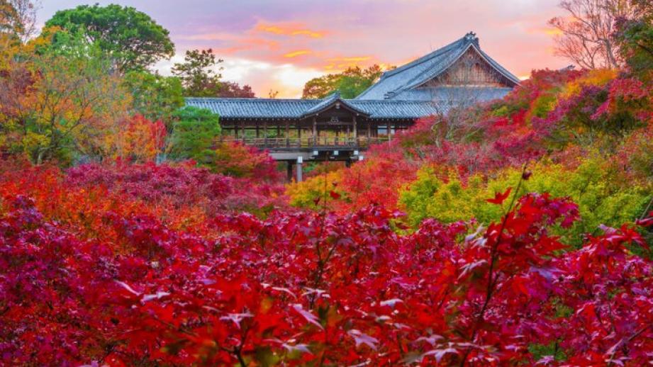【京都・東山の紅葉さんぽ】絶景と庭園をめぐって東福寺から泉涌寺へ♪