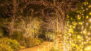 六本木「東京ミッドタウン」で幻想的なクリスマスを