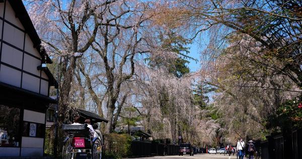 秋田県角館の武家屋敷通りを歩いてめぐる観光コース！四季の移ろいとともに楽しむ
