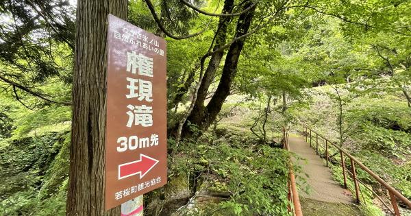 鳥取県の山あいの地域にある地元民おすすめ超穴場な涼スポット！民家の間の細道を通ってたどり着く「権現滝」
