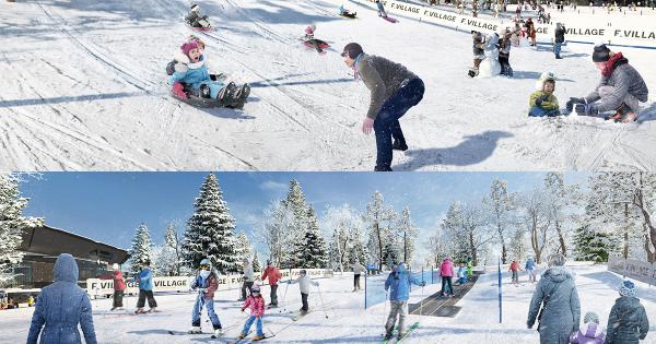 スキーエリアと雪遊びができるエリアに分かれた「F VILLAGE Snow Park」