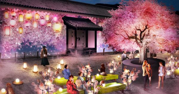 京都・二条城のお花見アートイベント「NAKED桜まつり」詳細発表