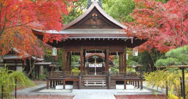 秋の京都ひとり旅おすすめプラン〜名所さんぽも♪ 紅葉とアートを楽しむ休日〜