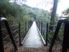 【伊東・城ヶ崎海岸】早朝がおすすめ！つり橋や自然観察路を歩く約40分コース