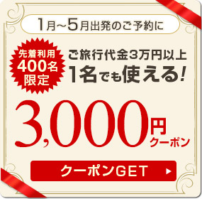 3,000円クーポン