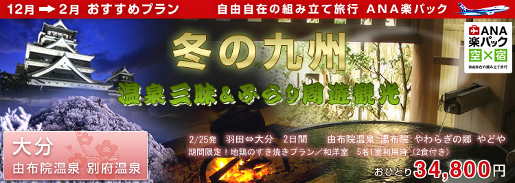 ＡＮＡ楽パックで行く  冬の九州　温泉三昧＆ふらり周遊観光