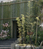 有福温泉　竹と茶香の宿　旅館　樋口