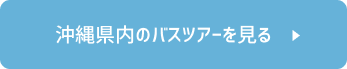 沖縄県内のバスツアーを見る