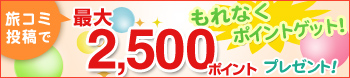 夏の想い出や、旅のクチコミ投稿で、もれなく最大2,500ポイントプレゼント！