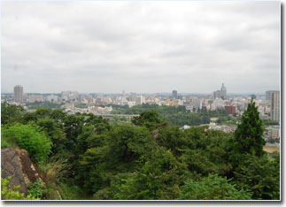 Greenery, greenery and greenery!