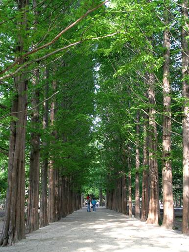 楽天トラベル ソウルツアーコース