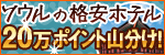 20万ポイント山分けキャンペーン