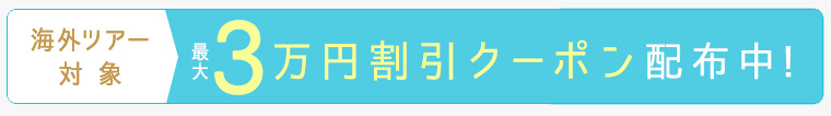 最大3万円割引クーポン配布中