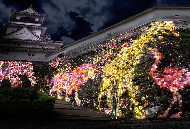 高知城の石垣に住まう花と共に生きる動物達