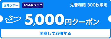 羽田⇔富山5,000円クーポンを獲得する
