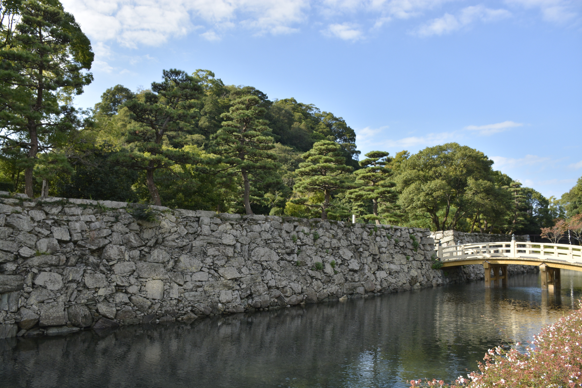 徳島中央公園数寄屋橋俯瞰