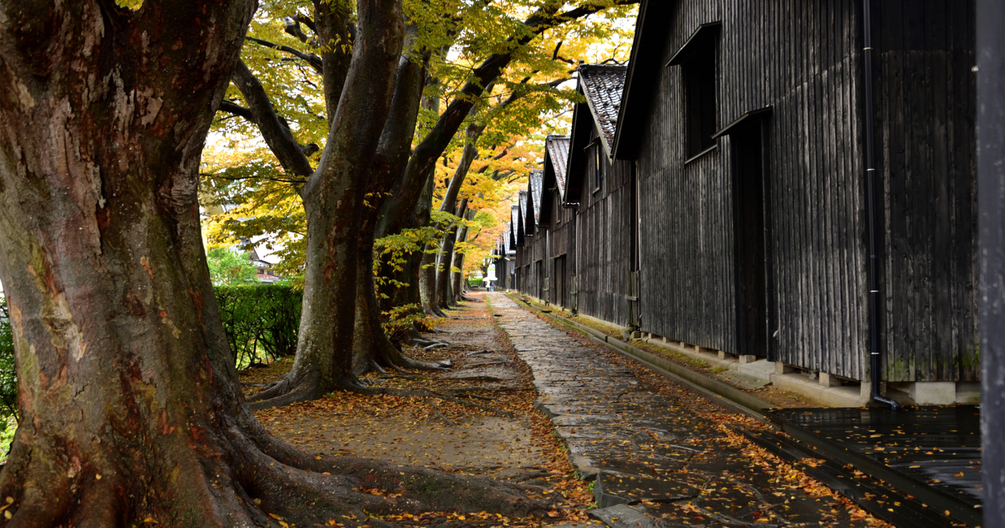 山居倉庫