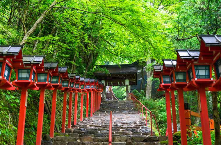 雅な風景を堪能する旅へ。京都の絶景スポット15選 【楽天トラベル】