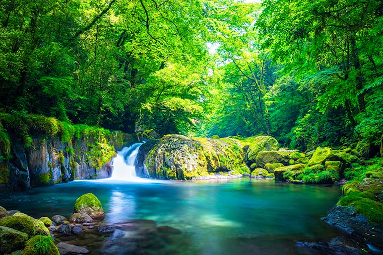 絶景の渓谷 渓流30選 日本の綺麗な川で夏の行楽や秋の紅葉狩りを楽しもう 楽天トラベル