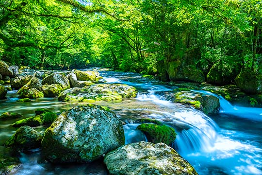 絶景の渓谷 渓流30選 日本の美しい川で夏の行楽や秋の紅葉狩りを楽しもう 楽天トラベル