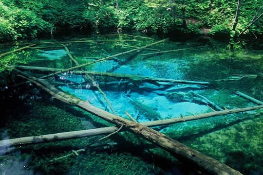 北海道　青の絶景　神の子池（かみのこいけ）